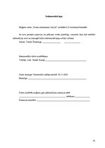 Diplomdarbs 'Tautas nobalsošana Latvijā', 61.