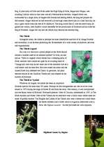 Referāts 'Scotland', 2.