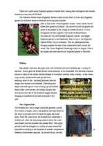 Referāts 'Scotland', 3.