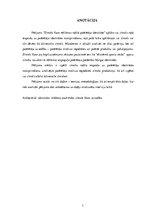 Referāts 'Zīmola "Vans" reklāmas radītā patērētāja identitāte', 3.