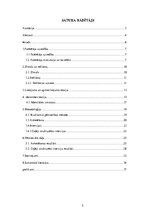 Referāts 'Zīmola "Vans" reklāmas radītā patērētāja identitāte', 5.