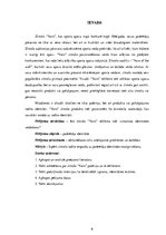 Referāts 'Zīmola "Vans" reklāmas radītā patērētāja identitāte', 6.