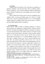 Referāts 'Zīmola "Vans" reklāmas radītā patērētāja identitāte', 11.