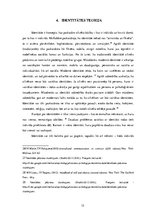 Referāts 'Zīmola "Vans" reklāmas radītā patērētāja identitāte', 15.