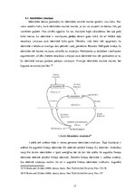 Referāts 'Zīmola "Vans" reklāmas radītā patērētāja identitāte', 17.