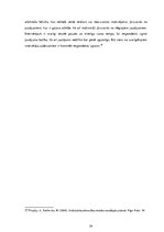 Referāts 'Zīmola "Vans" reklāmas radītā patērētāja identitāte', 24.