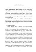 Referāts 'Zīmola "Vans" reklāmas radītā patērētāja identitāte', 25.