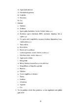 Referāts 'Zīmola "Vans" reklāmas radītā patērētāja identitāte', 38.