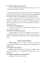 Referāts 'Zīmola "Vans" reklāmas radītā patērētāja identitāte', 45.