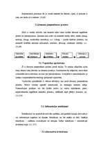 Referāts 'Pircēju uzvedības teorijas', 4.