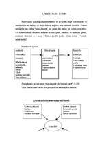 Referāts 'Pircēju uzvedības teorijas', 9.