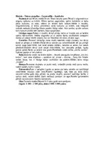 Referāts 'Meža vistas', 7.