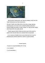 Eseja 'Latvija ir skaista un daudzveidīga', 3.