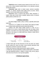 Referāts 'Reklāma, reklāmas plānošana un izgatavošana', 7.