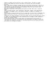 Eseja 'Irish Culture', 2.