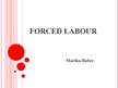 Prezentācija 'Forced Labour in Brazil', 1.