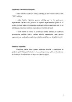 Biznesa plāns 'SIA "WIU" bizensa plāns', 5.