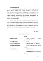 Biznesa plāns 'SIA "WIU" bizensa plāns', 19.