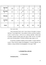 Biznesa plāns 'SIA "WIU" bizensa plāns', 25.