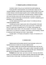 Referāts 'Cukurbietes', 5.