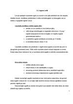 Referāts 'Cukurbietes', 7.