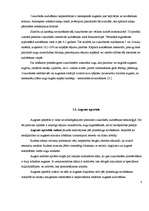 Referāts 'Cukurbietes', 8.