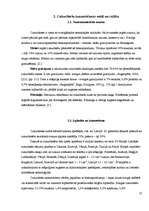 Referāts 'Cukurbietes', 10.