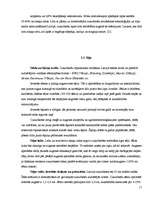 Referāts 'Cukurbietes', 11.