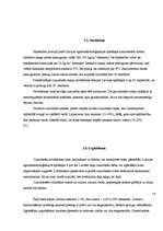 Referāts 'Cukurbietes', 14.