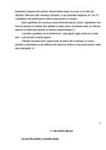 Referāts 'Cukurbietes', 15.