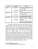 Konspekts 'Poligrāfa ekspertīze', 10.