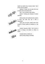 Referāts 'Daiļdarba analīze - Paulu Koelju "Alķīmiķis"', 13.