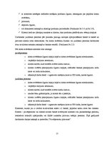 Prakses atskaite 'Prakses atskaite AS "Hansabanka"', 13.