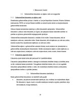 Prakses atskaite 'Prakses atskaite AS "Hansabanka"', 29.