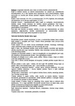 Konspekts 'Koksne', 1.