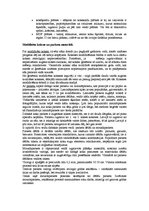 Konspekts 'Koksne', 8.