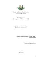 Referāts 'Reklāmas vizuālais tēls', 1.