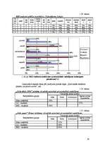 Referāts 'Reklāmas vizuālais tēls', 29.