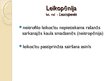 Prezentācija 'Leikoze. Hroniska limfoleikoze', 4.
