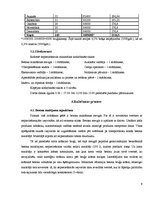 Referāts 'Tehnoloģiskā projektēšana', 9.