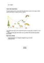 Konspekts 'Dabas zinību stundas plāns', 2.