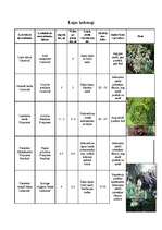 Konspekts 'Lapu kokaugi', 1.