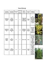 Konspekts 'Lapu kokaugi', 3.