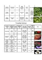 Konspekts 'Lapu kokaugi', 8.