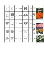 Konspekts 'Lapu kokaugi', 9.