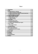 Biznesa plāns 'Biznesa plāns "Bingo"', 2.