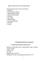 Biznesa plāns 'Biznesa plāns "Bingo"', 5.