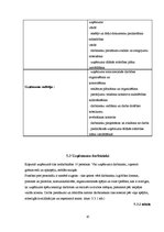 Biznesa plāns 'Biznesa plāns "Bingo"', 10.