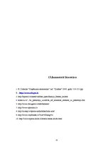 Biznesa plāns 'Biznesa plāns "Bingo"', 25.