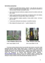 Referāts 'Velomaršruts Pārgaujas novadā', 21.